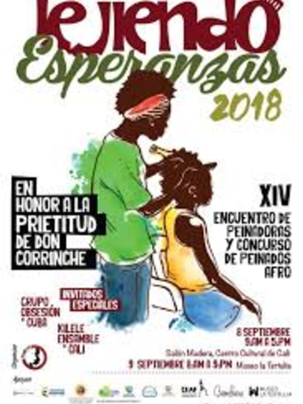 Association of Afro-Colombian Women (AMAFROCOL)